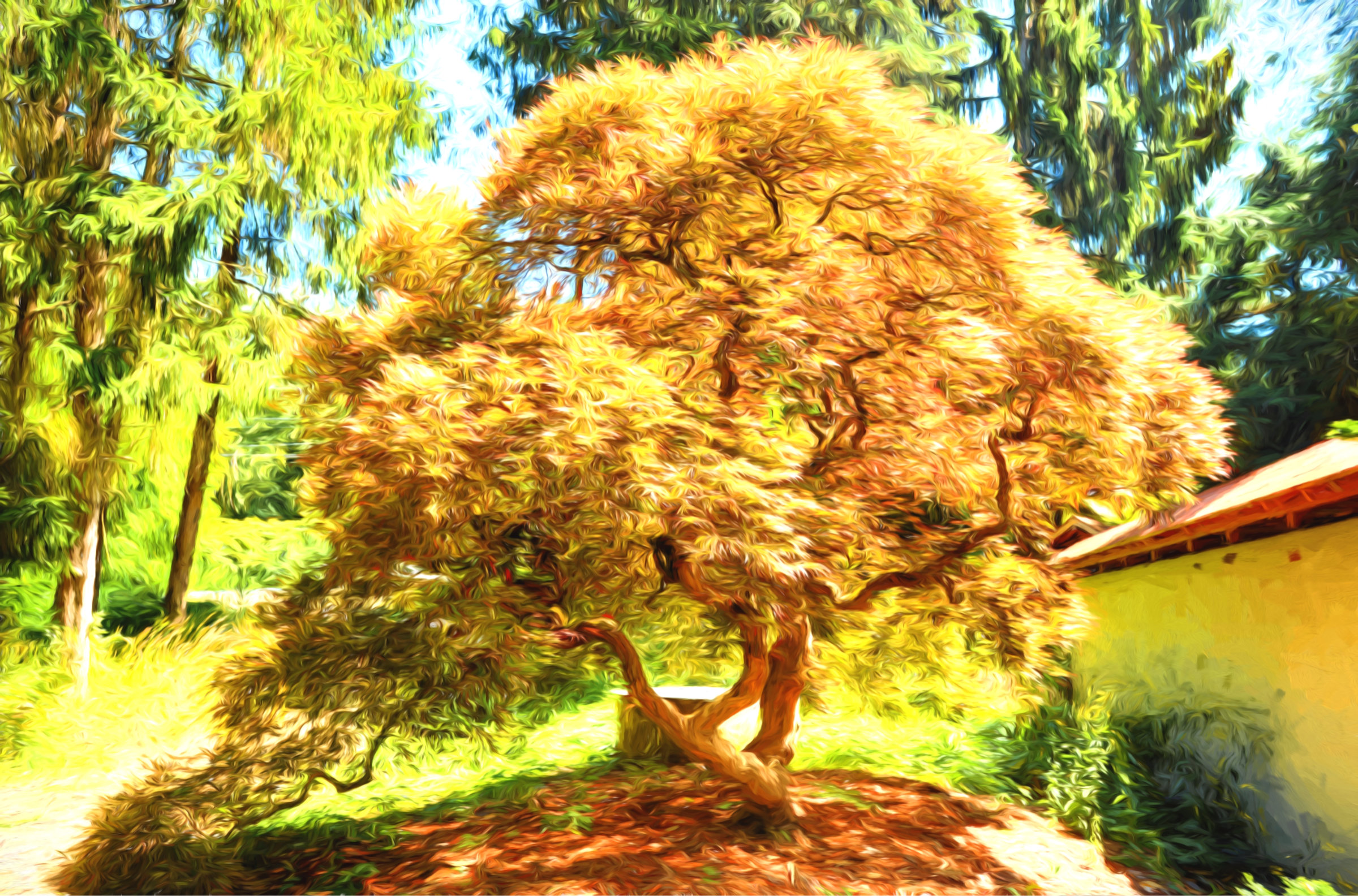 Kubota Garden Tree 53